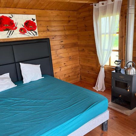 Le Domaine Des Oiseaux Villa Villers-sur-Port Luaran gambar